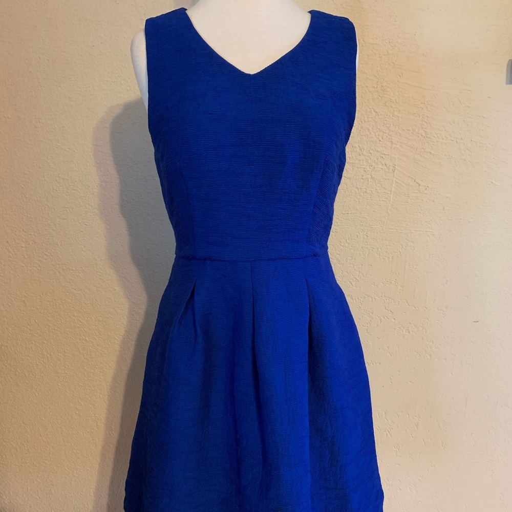 The Limited blue dress with pockets! Great dress!